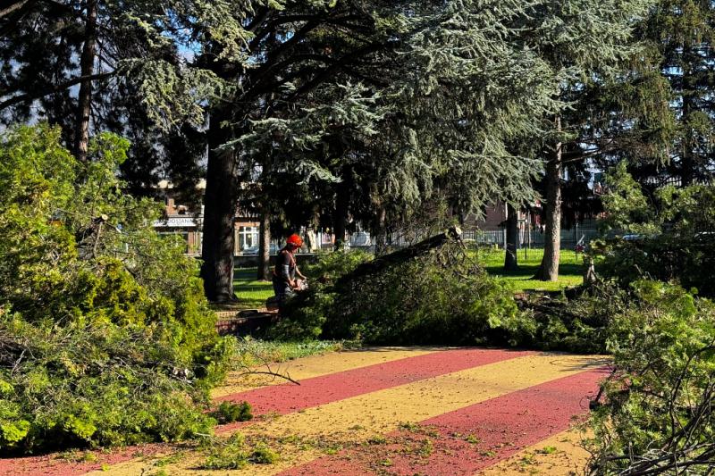 Iniziati i lavori della nuova pista di atletica al Tesolin