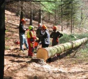 Aperte le iscrizioni al corso di formazione per istruttore forestale