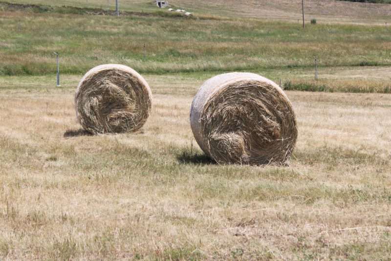 Rotoballe di fieno