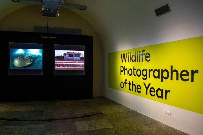 Mostra Wildlife photographer