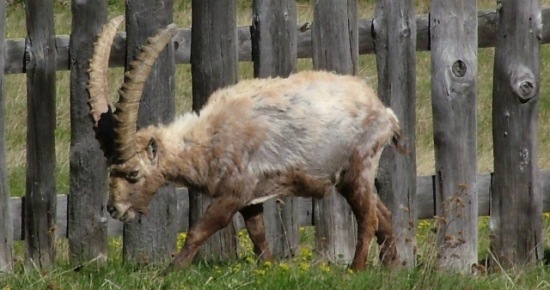 Accordo tra il Parco Nazionale Gran Paradiso e l'Arpa Valle d'Aosta per studiare i cambiamenti climatici